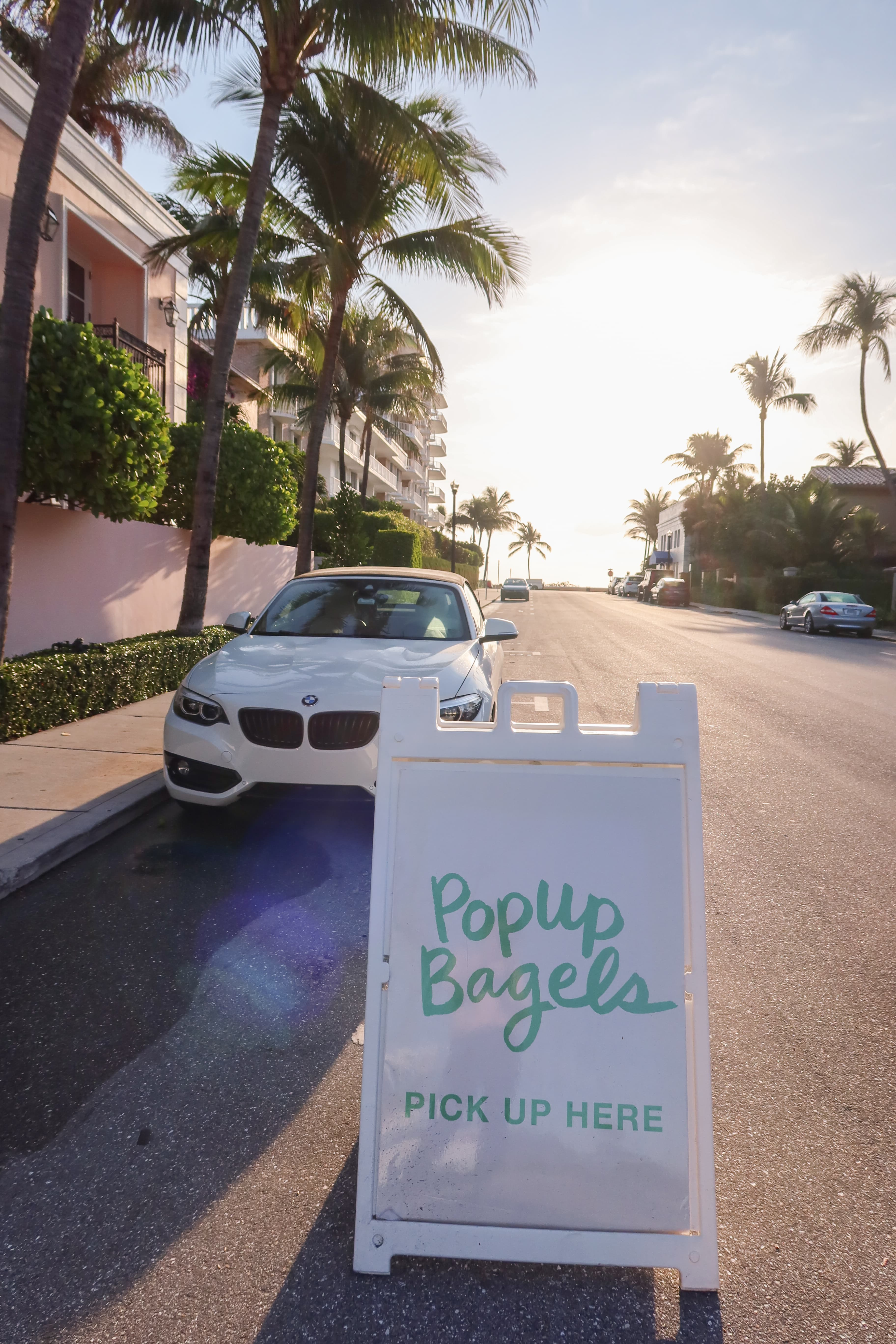 Cover Image for Popup Bagels Bliss in Palm Beach - "Not Famous, But Known"