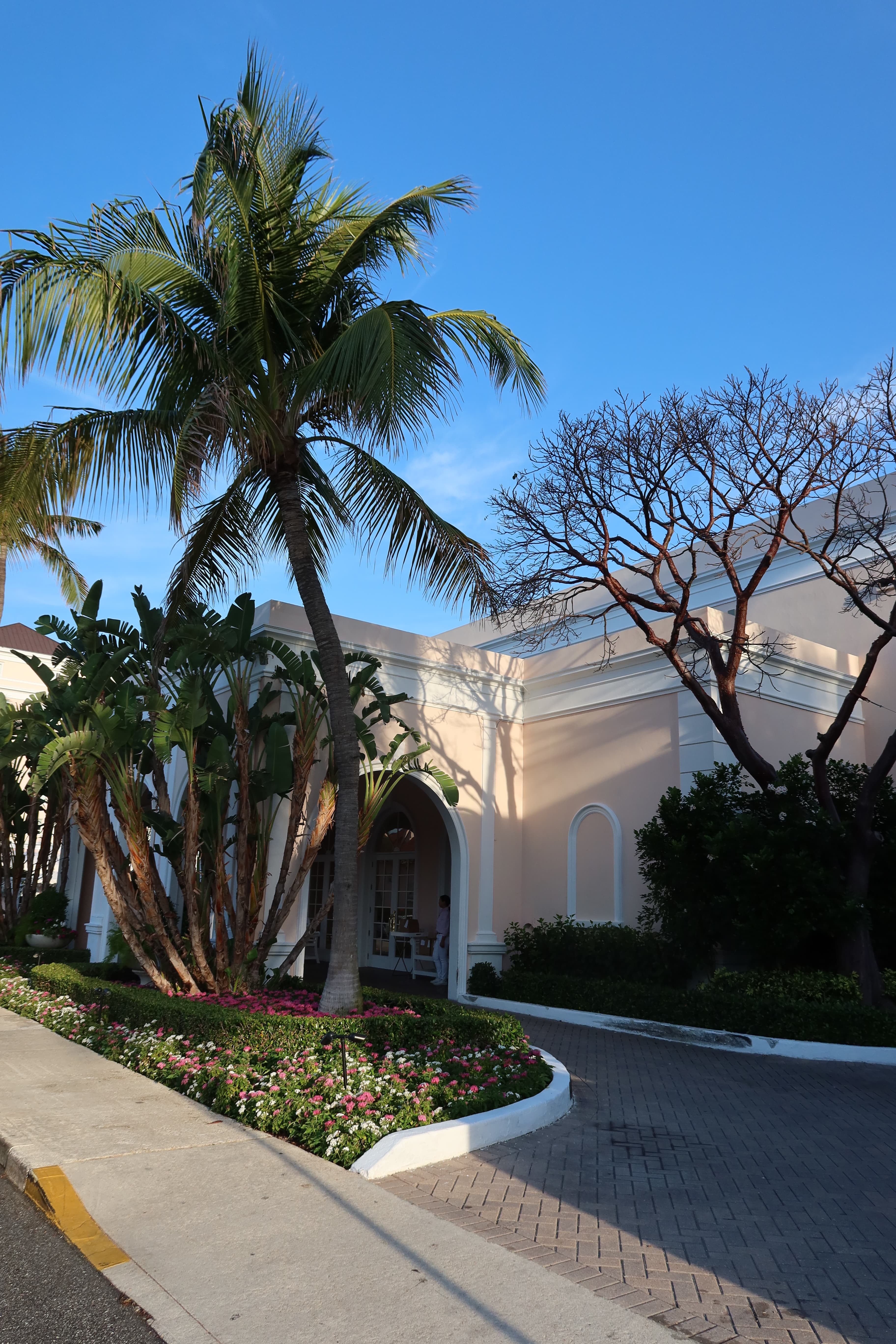 a photo of popup bagels in palm beach