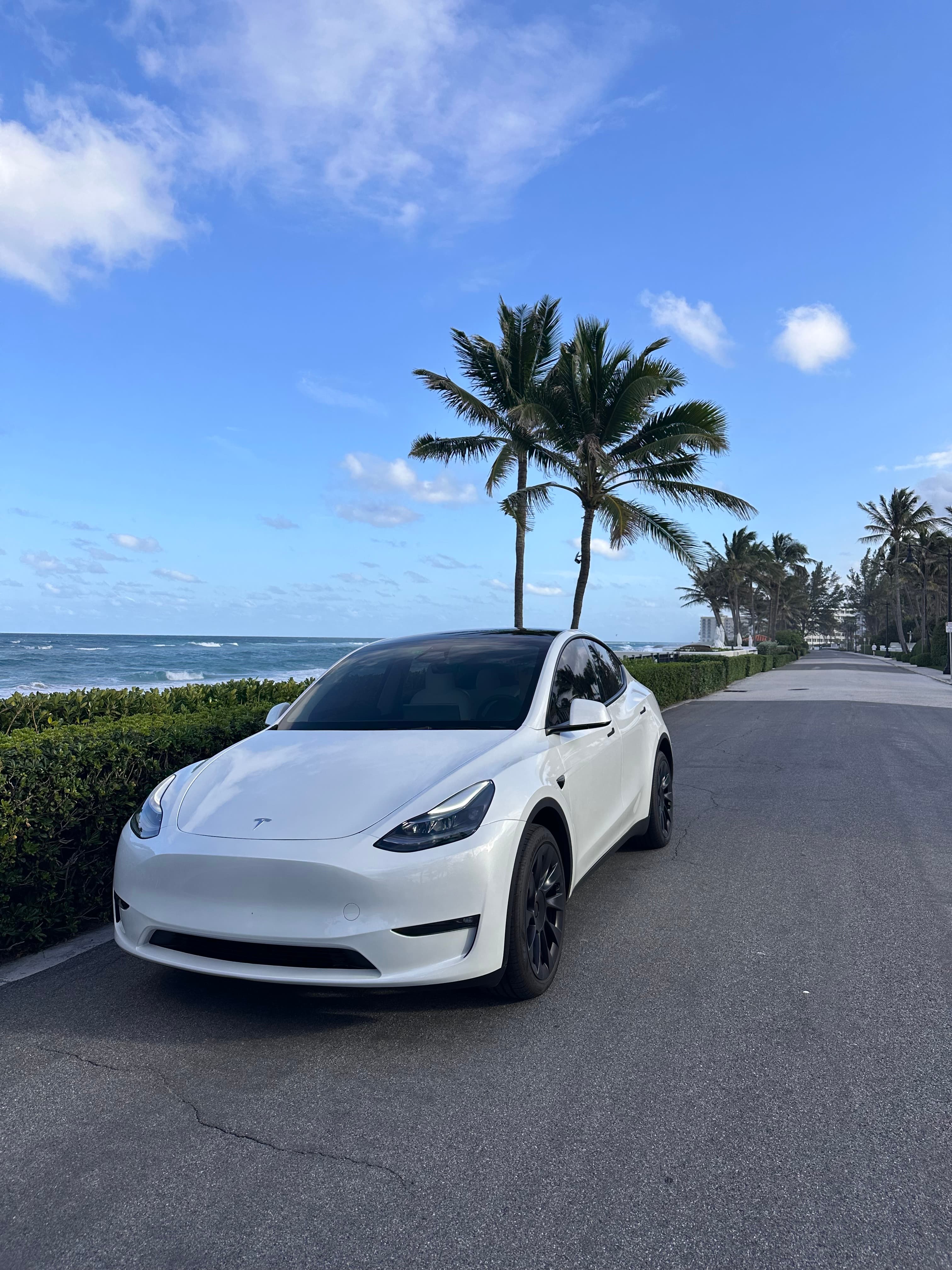 Tesla Model Y driving in palm beach on the ocean