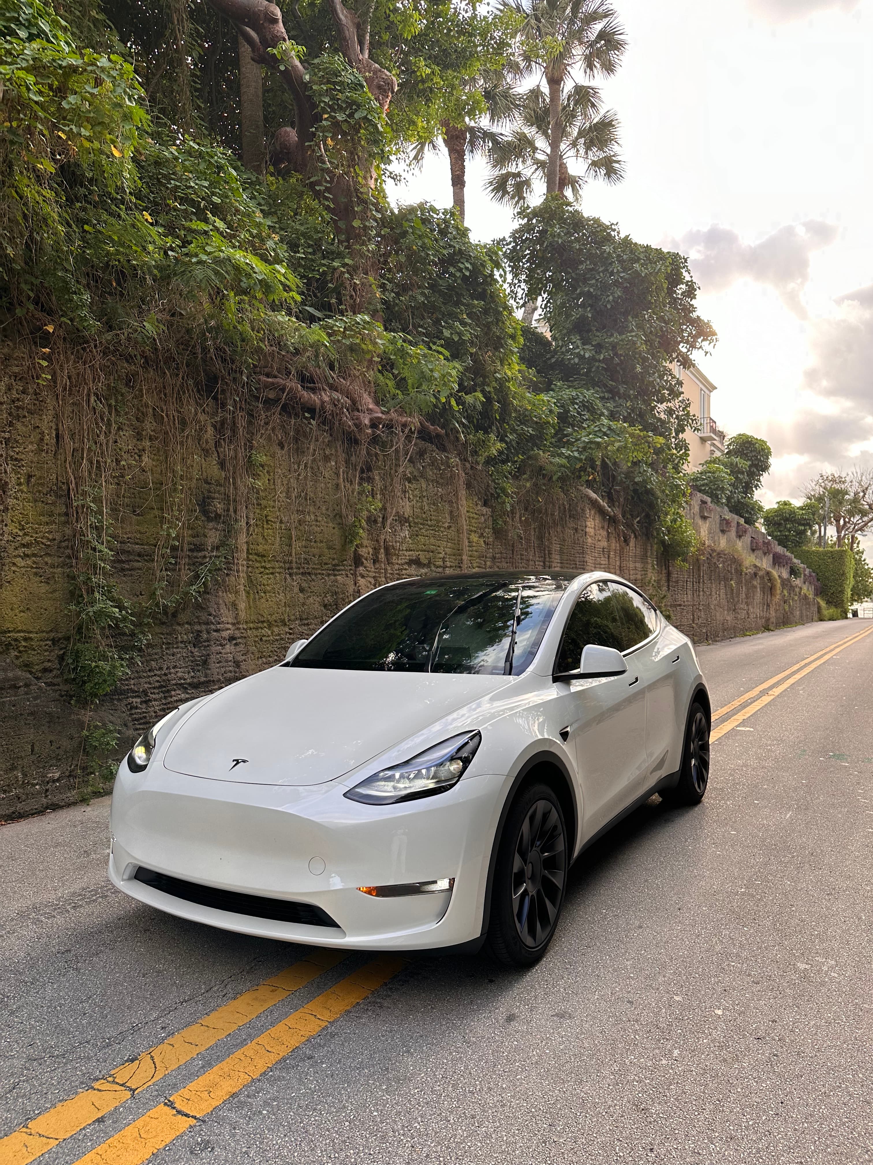 Tesla Model Y driving in palm beach